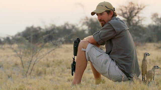 Watch Safari Brothers Online