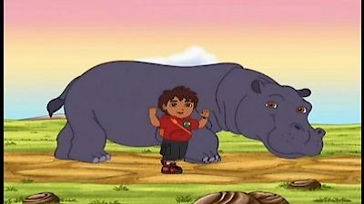 Diego Reunites Hippo and Oxpecker