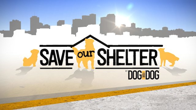 Watch Save Our Shelter Online