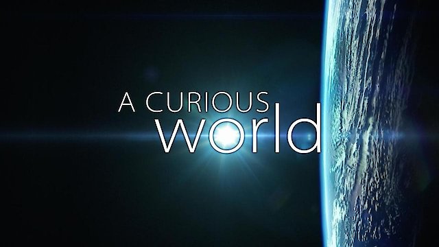 Watch A Curious World Online