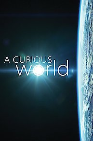 A Curious World