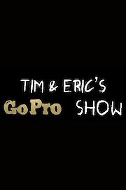 Tim & Eric's Go Pro Show poster