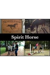 Spirit Horse