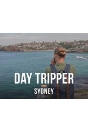 Day Tripper poster