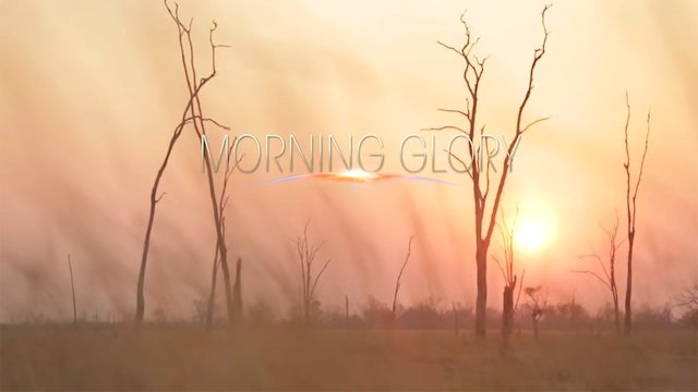 Watch Morning Glory Online