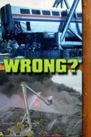 What Went Wrong? poster