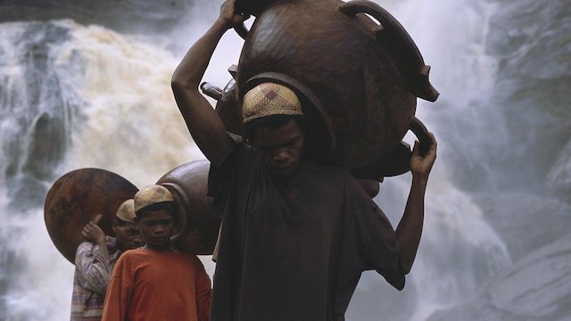 Watch Living Cultures Online