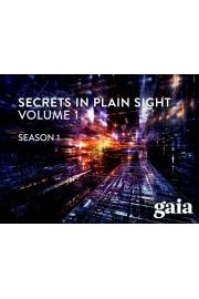 Secrets in Plain Sight poster