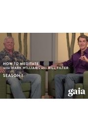 How to Meditate poster