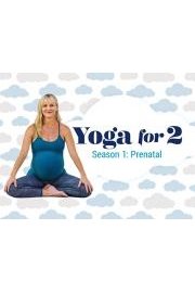 Yoga for 2: Pre and Post Natal poster