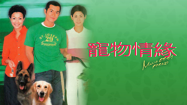Watch Man's Best Friend Online