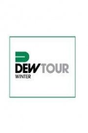 Winter Dew Tour poster