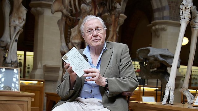 Watch David Attenborough's Natural Curiosities Online