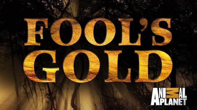Watch Fool's Gold Online