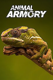 Animal Armory poster