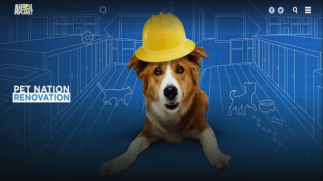 Watch Pet Nation Renovation Online