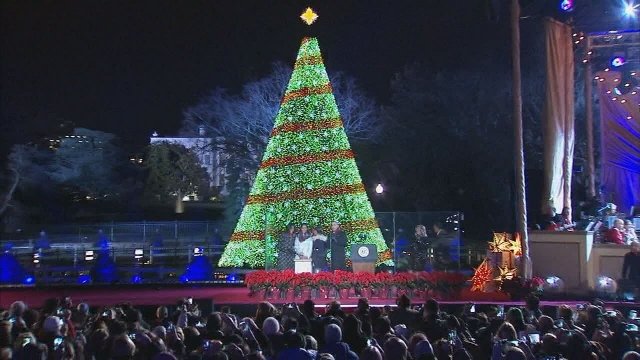 Watch National Christmas Tree Lighting Online