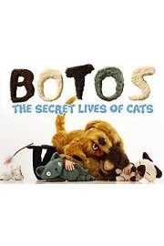 Botos poster