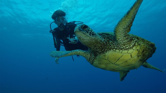 Watch Sea of Hope: America's Underwater Treasures Online