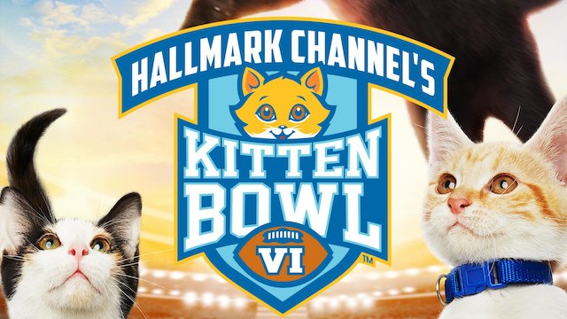 Watch Kitten Bowl Online