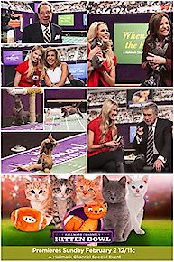 Kitten Bowl