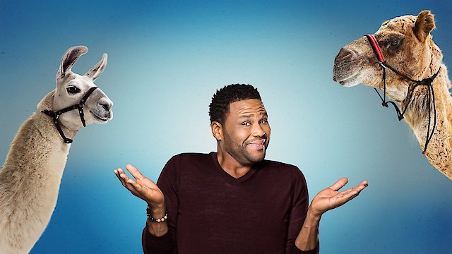 Watch Animal Nation with Anthony Anderson Online