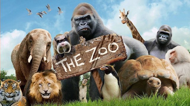 Watch The Zoo Online