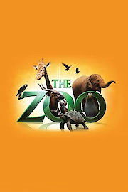 The Zoo