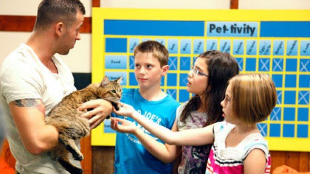 Watch Pet School Online
