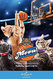 Meow Madness poster