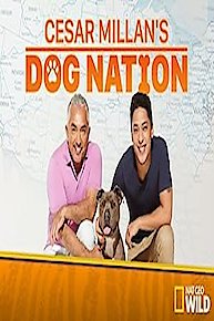 Cesar Millan's Dog Nation