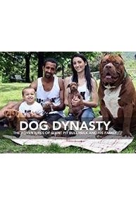 Dog Dynasty