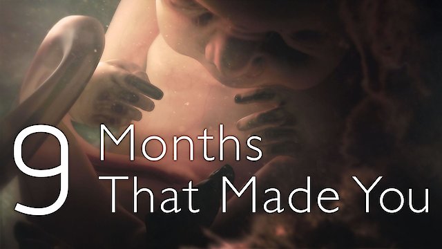 Watch 9 Months That Made You Online