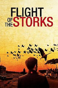 Flight of the Storks