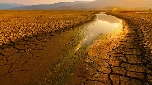 Watch Parched Online