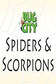 Bug City poster