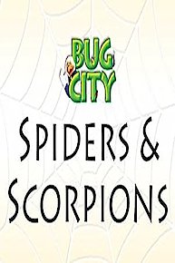 Bug City