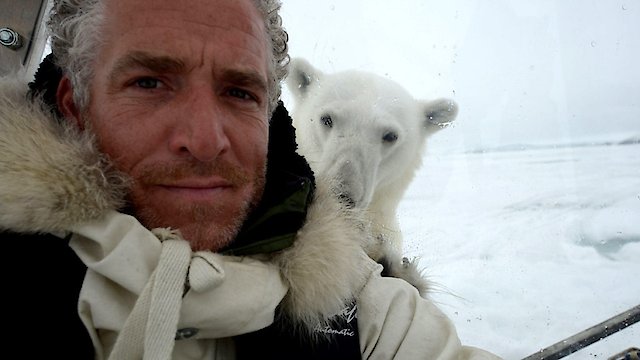 Watch The Polar Bear Family and Me Online