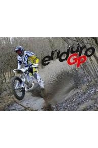 FIM Enduro World Championship