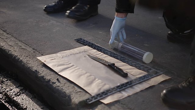 Watch The Murder Detectives Online