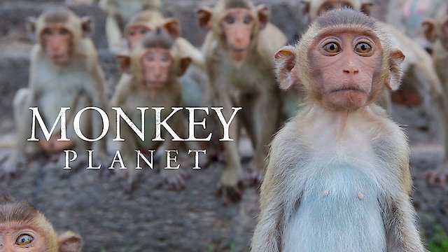 Watch Monkey Planet Online
