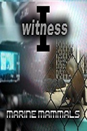 I Witness: Marine Mammals