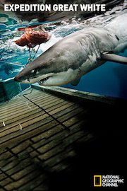 Expedition Great White poster