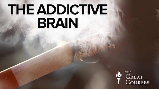 Watch The Addictive Brain Online
