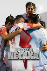 Fuerza Necaxa