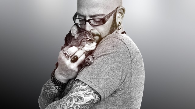Watch My Cat from Hell: Cat Facts Online