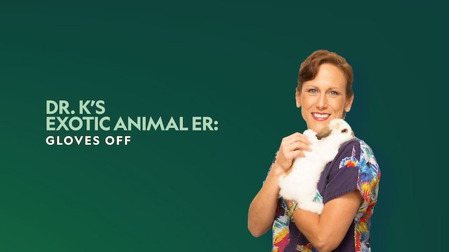 Watch Dr. K's Exotic Animal ER: Gloves Off! Online
