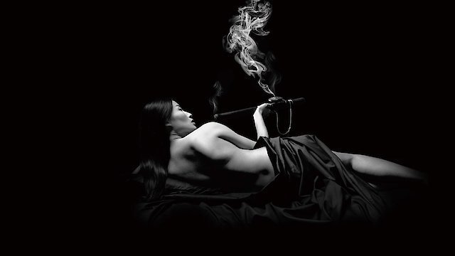 Watch The Romeo Section Online