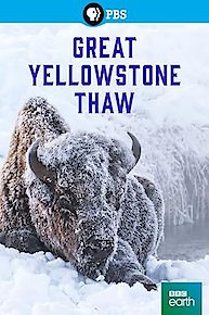 Great Yellowstone Thaw