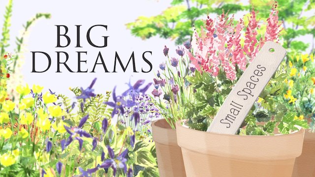 Watch Big Dreams Small Spaces Online
